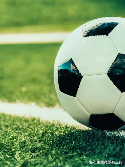 数据研究者使用平台分析